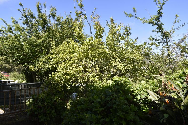 Foto a1eb59e4-4768-47ee-8689-dae4df42506d. Casa amb aparcament a Teror pueblo Teror