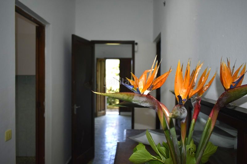 Foto f757e053-a53a-4e42-911a-55e7903c616c. Casa amb aparcament a Teror pueblo Teror