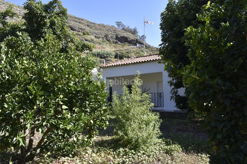 Foto 0ea8b1da-a5f0-47a6-89ce-bd0b1f8d3c66. Chalet terreno con chalet independiente en El Álamo - Arbejales Teror