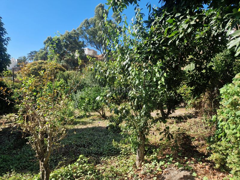 Foto 5814b06b-7307-4052-b328-fa9331d89e8b. Chalet terreno con chalet independiente en El Álamo - Arbejales Teror