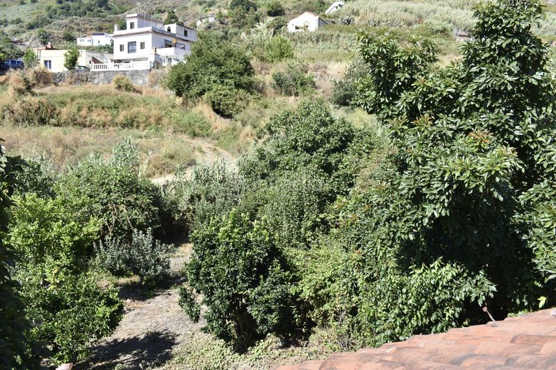Foto 590850ac-2417-490d-9aae-6bdeb3c82a7a. Chalet terreno con chalet independiente en El Álamo - Arbejales Teror