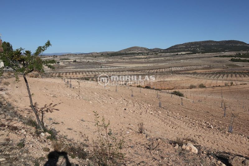Foto db0fa6be-7c7c-44b7-bd6f-ed1c1b2d186a. Casa a parcela 38 del poligono 10 a San Mateo Lorca