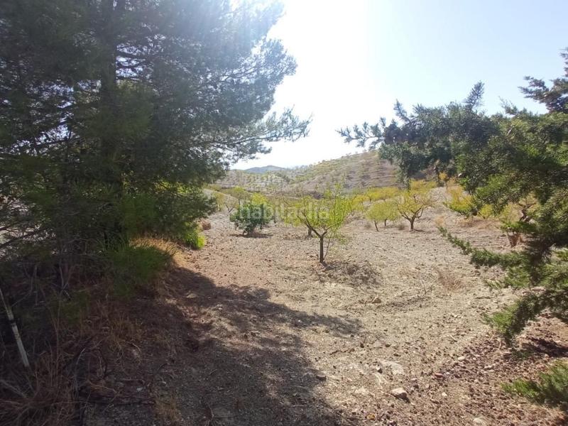 Foto 194f0084-7a6a-44db-9e07-302428701649. Casale con parcheggio in Torrecilla Lorca