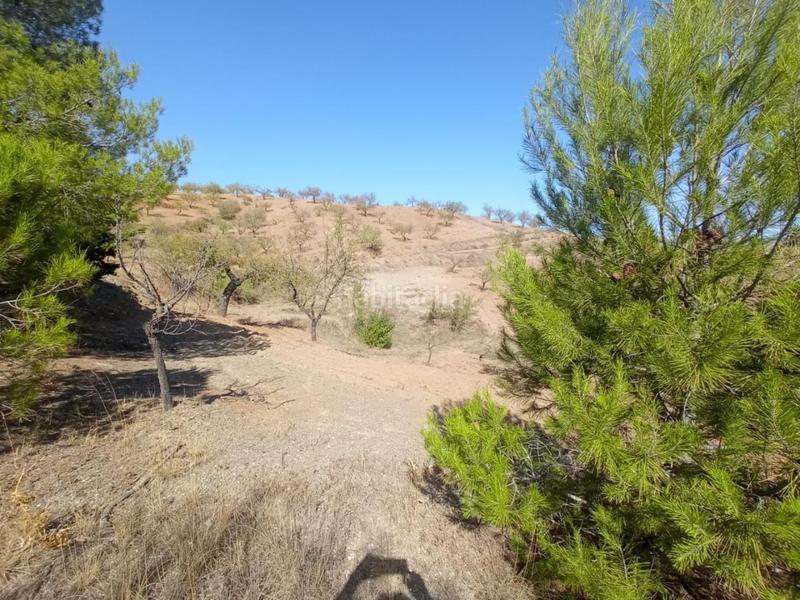 Foto 32378470-217f-474e-a091-fb58f916df4e. Casale con parcheggio in Torrecilla Lorca