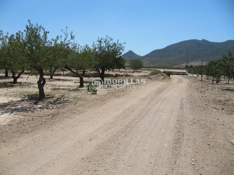 Foto 73789c03-6a5f-4f7a-ab7e-ad804e88ddf6. Finca rústica a Puerto Lumbreras