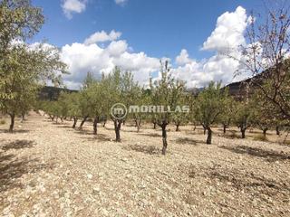 Finca rústica a Lugar polígono 20 parcela 164 molino 1. puebla de don f 20. Finca rústica con construcciones