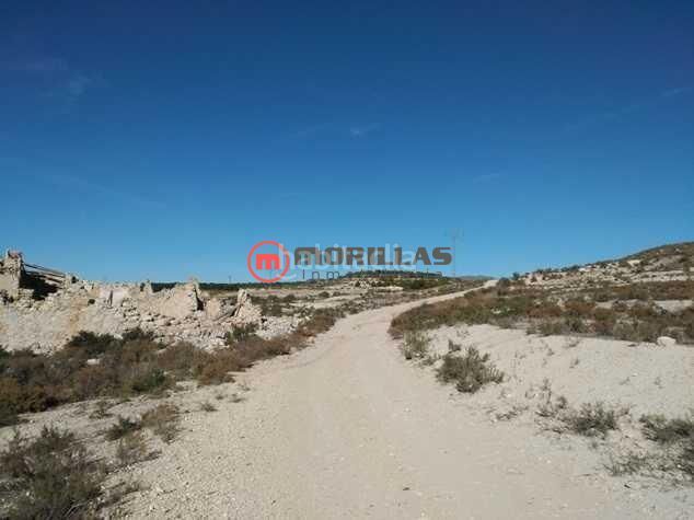 Foto 53f2b1a3-354f-4f05-8982-2979f50e4f6b. Terreno residencial en calle polígono 11 suelo urbanizable sectorizado en Cieza