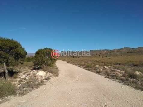 Foto b215b6c4-929a-44b6-9e5b-b1ad660264ac. Terreno residencial en calle polígono 11 suelo urbanizable sectorizado en Cieza
