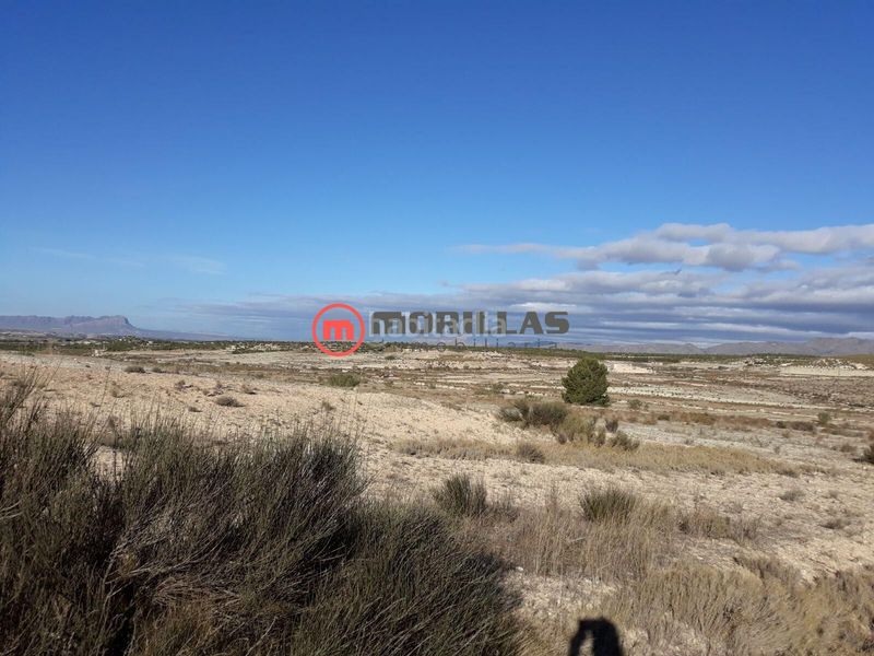 Foto f40cf8f5-51d5-4d51-9787-81e374f792c9. Terreno residencial en calle polígono 11 suelo urbanizable sectorizado en Cieza