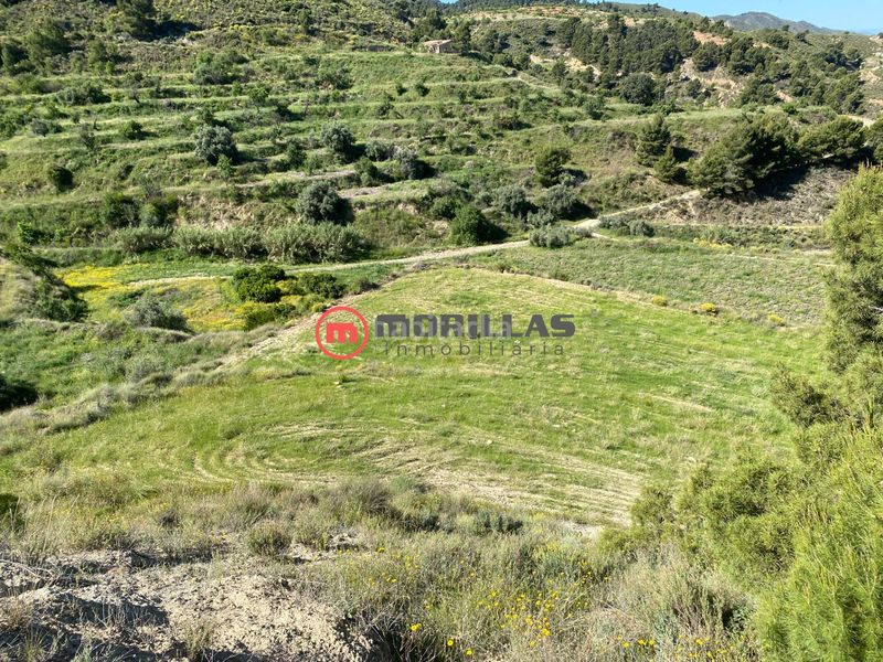 Foto 3db88b51-7ed6-4e10-b354-9a40a114511a. Finca rústica a puntarron 9 a Puntarrón Lorca