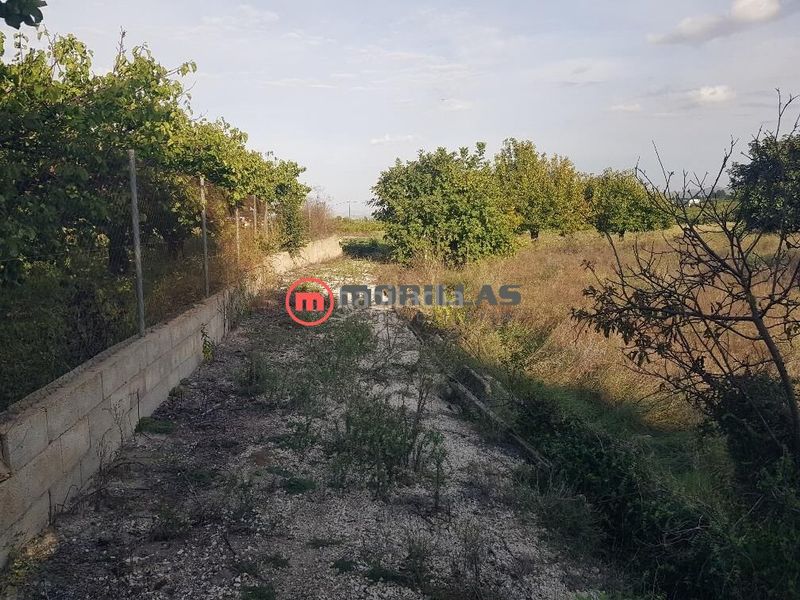 Foto 43d19a37-3b9d-4cd1-90d0-ce733ae52a1d. Casa amb aparcament a Moratalla