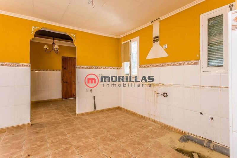 Foto 470b4955-b652-4e6b-b276-c58ba927ad5a. Masia a Pliego