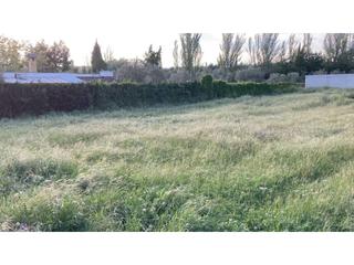 Finca rústica a Úbeda. Terreno en venta en úbeda