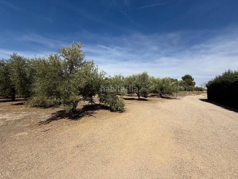 Foto 9a5ca9b0-9d8e-4123-b646-21c4ed9a7ec9. Masía venta de chalet rústico en Úbeda