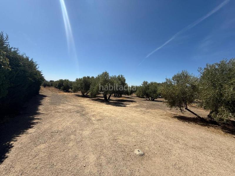 Foto b93cb481-ae90-49f1-995f-e8bc91ed9d8f. Masía venta de chalet rústico en Úbeda