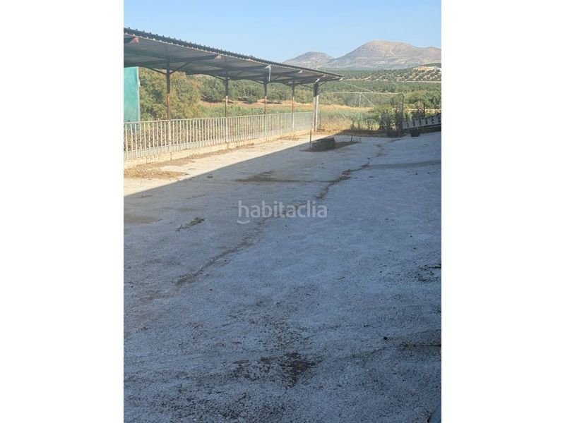 Foto 5d2203d2-4e34-4594-9339-fa7ed2caf146. Nau industrial a Úbeda