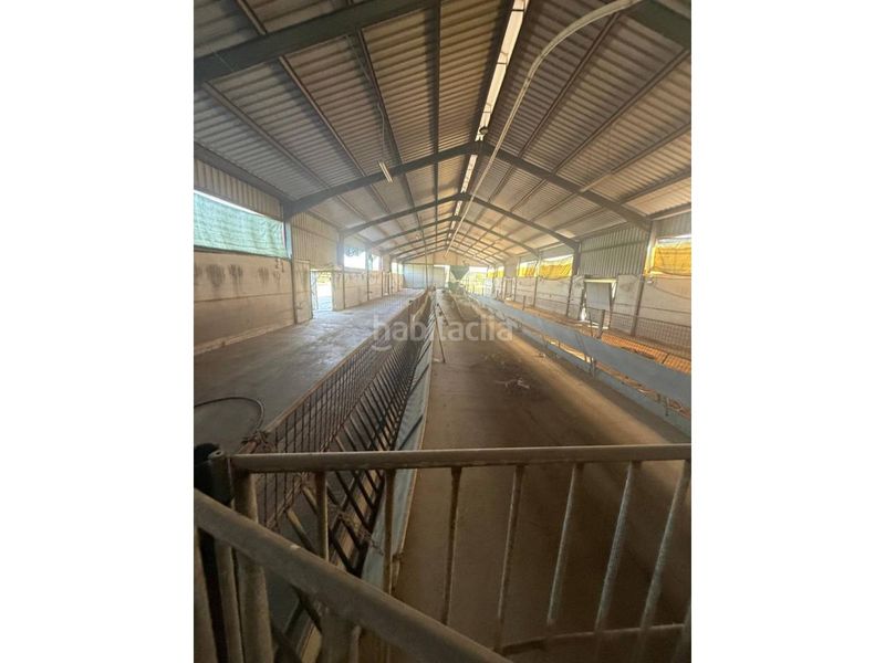 Foto ef4da4f4-d917-4949-ac13-e114fea58f8e. Nau industrial a Úbeda