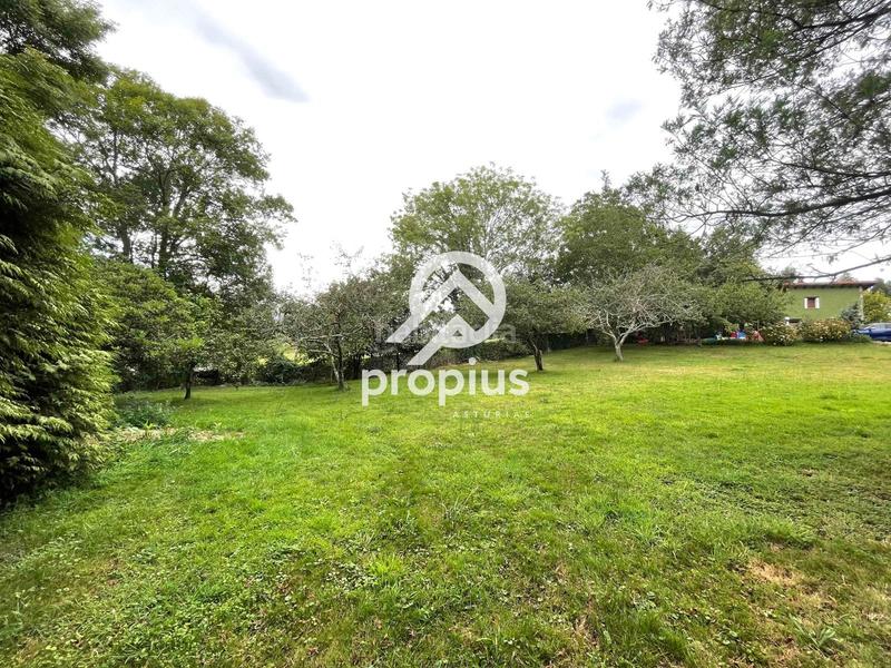 Foto 4127b477-d5b8-4e24-aa4a-f785979063ad. Casa con riscaldamento parcheggio in Celorio-Poó-Parres Llanes