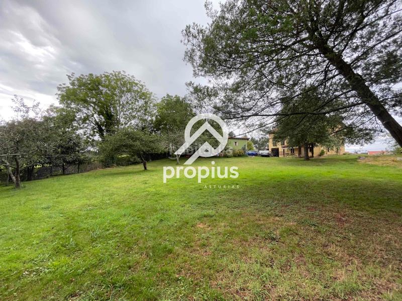 Foto 915d1857-546c-4b97-ae31-66768a3e4a7c. Casa con riscaldamento parcheggio in Celorio-Poó-Parres Llanes