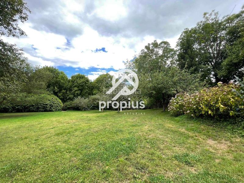 Foto 97b9f39a-a974-4075-aa05-3e262367ff67. Casa con riscaldamento parcheggio in Celorio-Poó-Parres Llanes