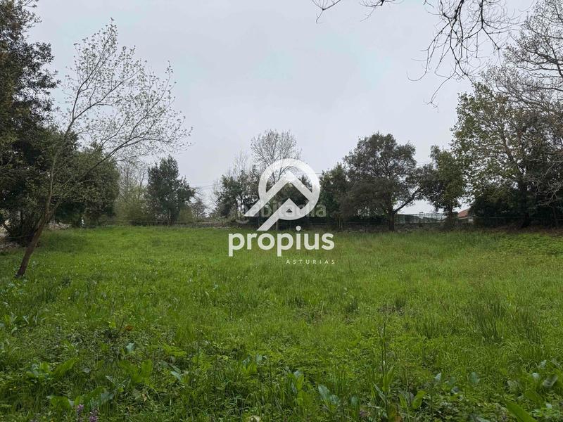 Foto 0218bdba-d478-467a-8ccc-b4c0bdf25184. Landgut in Pría-Nueva-Hontoria-Naves Llanes