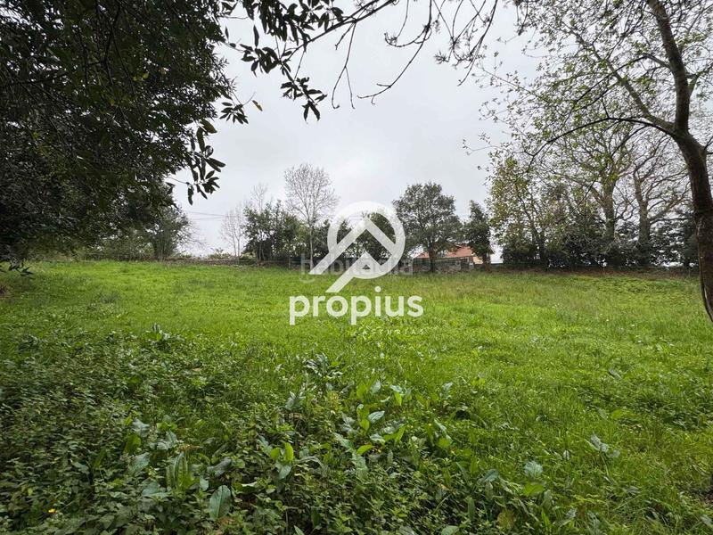 Foto 03d140b5-4d40-4e2a-a2a4-374d6f96abd6. Landgut in Pría-Nueva-Hontoria-Naves Llanes