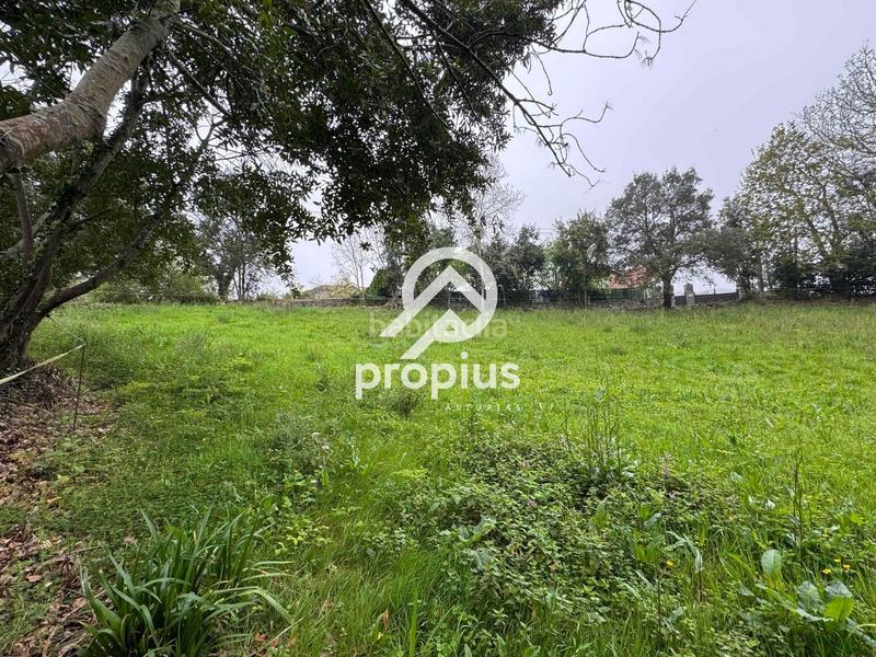 Foto 0cfcb9d3-f582-4633-84e3-e26426249736. Landgut in Pría-Nueva-Hontoria-Naves Llanes