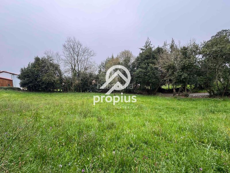 Foto 1ab979c4-26ff-4691-bb00-08ab0d5978a3. Landgut in Pría-Nueva-Hontoria-Naves Llanes