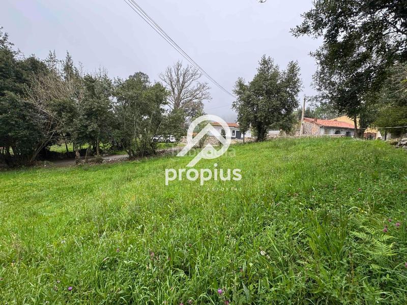 Foto 23b4c473-2451-4a97-8c02-76a5b8293bab. Landgut in Pría-Nueva-Hontoria-Naves Llanes