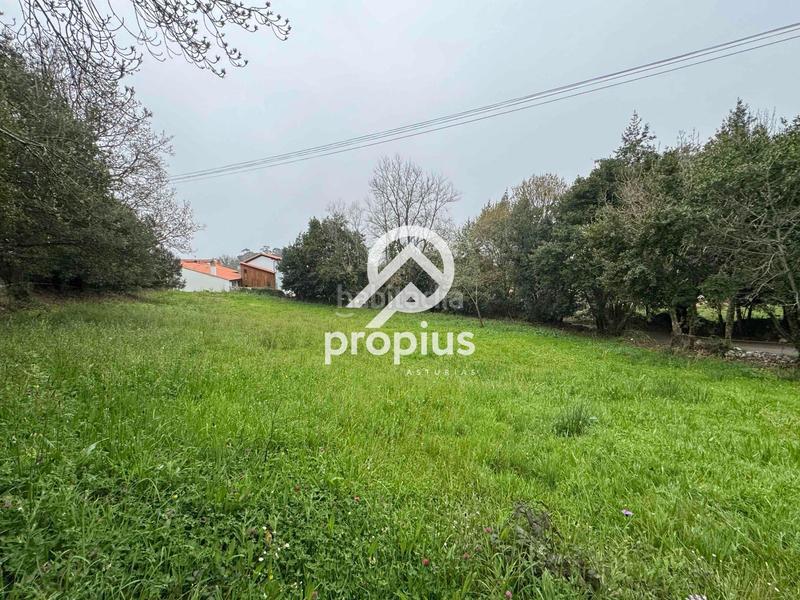 Foto 425c2c8a-9476-484f-83a9-e9fbb704816d. Landgut in Pría-Nueva-Hontoria-Naves Llanes