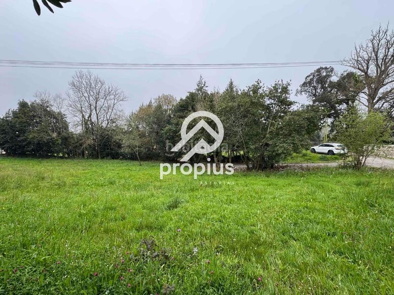 Foto 8d8c81f9-3b11-4281-bffa-11996b85f2d5. Landgut in Pría-Nueva-Hontoria-Naves Llanes