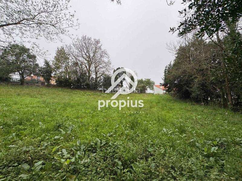 Foto bc94d84f-1af2-43fa-92c6-fef7f774d5de. Landgut in Pría-Nueva-Hontoria-Naves Llanes