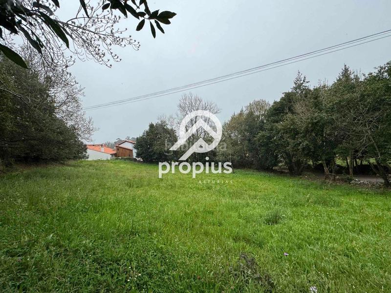 Foto c4087fa7-742d-4410-a789-05aa5b761635. Landgut in Pría-Nueva-Hontoria-Naves Llanes