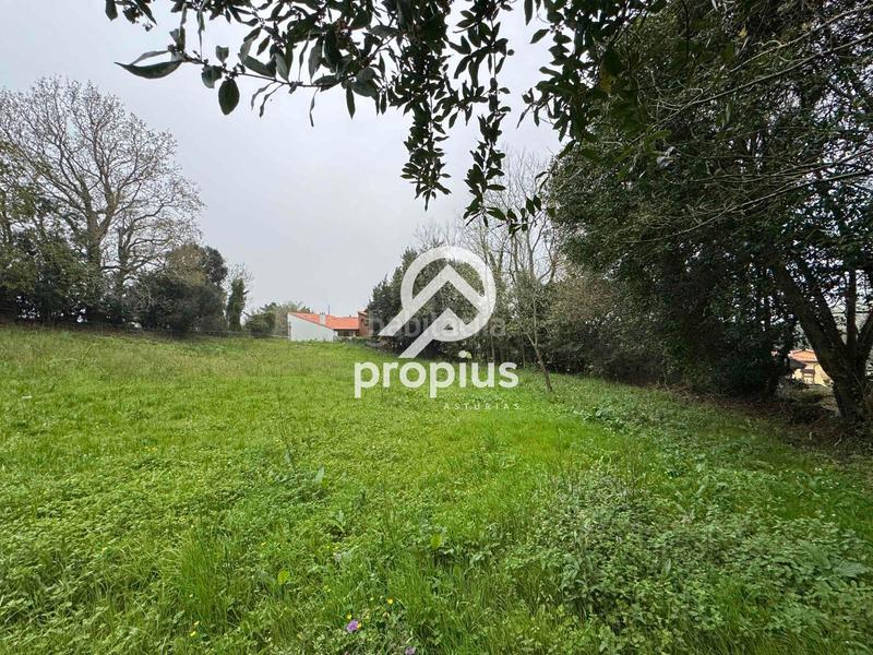 Foto e2bca8b5-e32a-4054-87ef-ddf45211d686. Landgut in Pría-Nueva-Hontoria-Naves Llanes