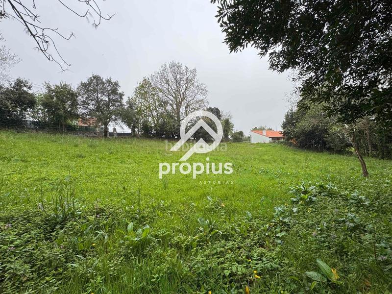 Foto e651d25c-f94b-44a4-8e0a-46e329adc36b. Landgut in Pría-Nueva-Hontoria-Naves Llanes