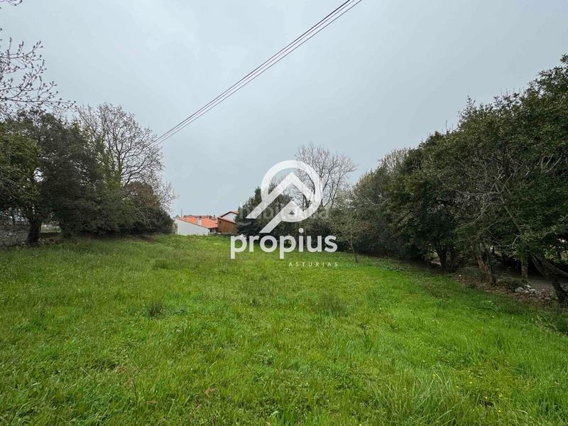 Foto ec354eaa-69a1-4bdc-b51e-645c04c2c08b. Landgut in Pría-Nueva-Hontoria-Naves Llanes