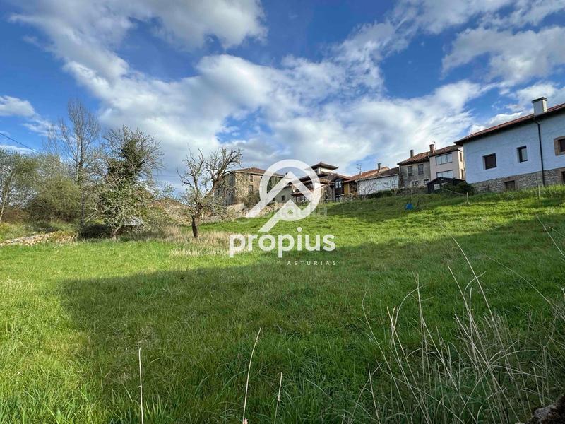 Foto 06e495b2-dc93-4881-a49a-53e24a535f5e. Residential plot in Ribadedeva