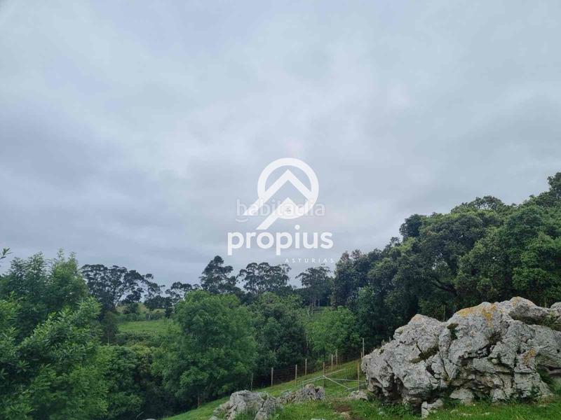 Foto 13f6b57c-8948-4f7d-ae59-b96b9a566661. Chalet mit heizung parking in Ribadesella