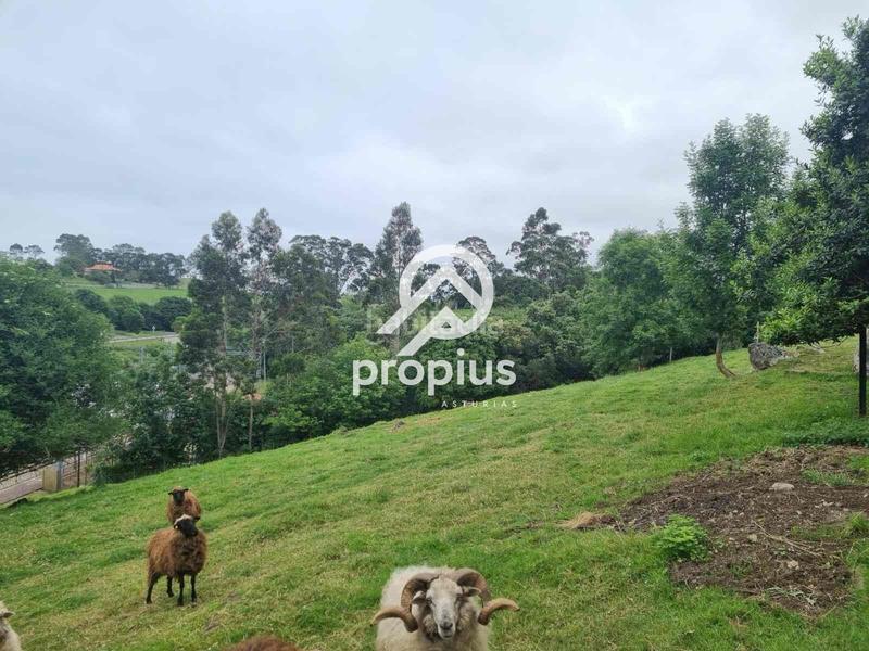 Foto 23fe01eb-2260-4217-b3a8-bae28a7fd896. Chalet mit heizung parking in Ribadesella