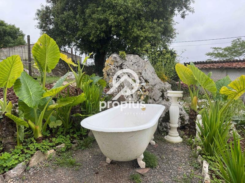 Foto 3a7ddf51-645b-4e55-8143-a1a224d736dd. Chalet mit heizung parking in Ribadesella