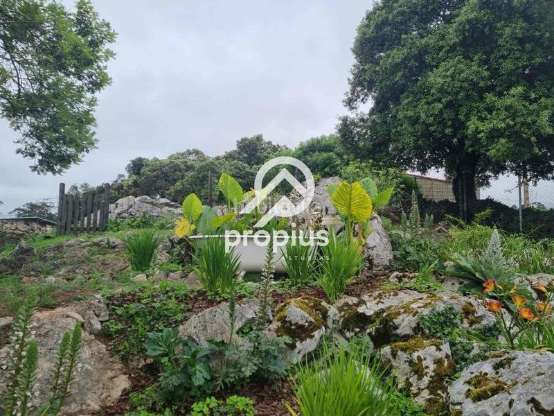 Foto 94c49dd5-4627-4c37-bd89-d77cac8c327b. Chalet mit heizung parking in Ribadesella