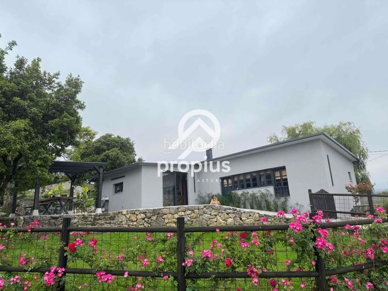 Foto ef2601fc-d0fe-4adc-9eb3-50251b3ada70. Chalet mit heizung parking in Ribadesella