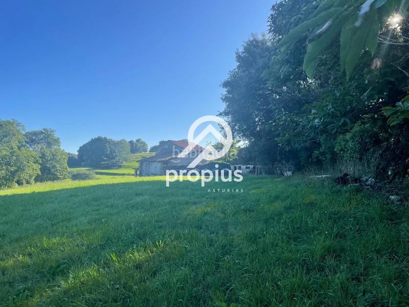 Foto 0154b73b-d936-4841-b1a4-386ba96d6420. Chalet mit heizung parking in Llanes pueblo Llanes