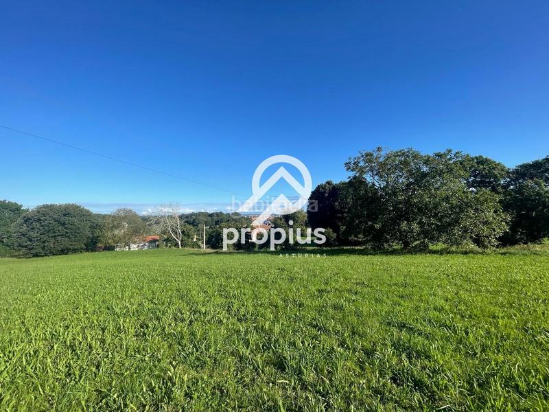 Foto 3a35c0ac-1870-4ca7-90e0-12c7a2dd2678. Chalet mit heizung parking in Llanes pueblo Llanes