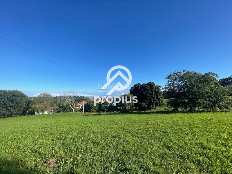 Foto 6e1e894d-66dd-4dc1-aaf1-07cc098a8f1f. Chalet mit heizung parking in Llanes pueblo Llanes