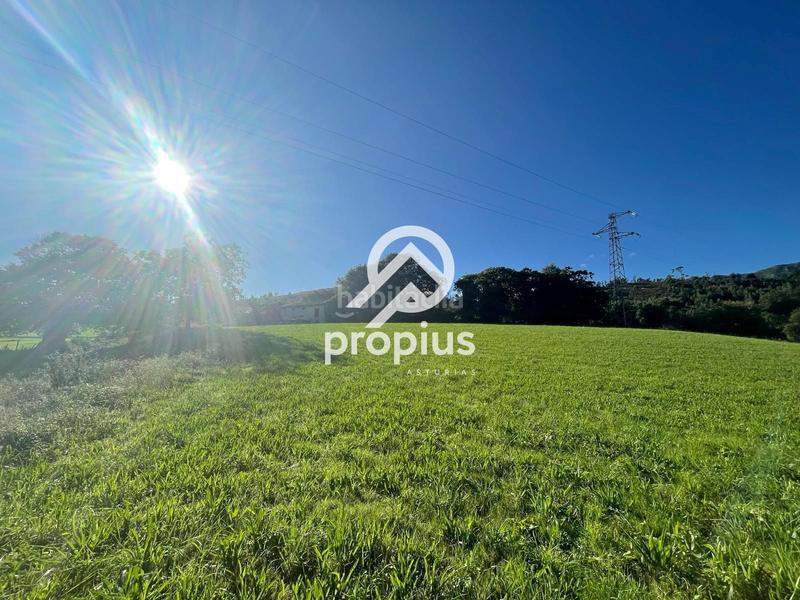 Foto 714c8888-e0ac-4727-acd2-365ad31995aa. Chalet mit heizung parking in Llanes pueblo Llanes