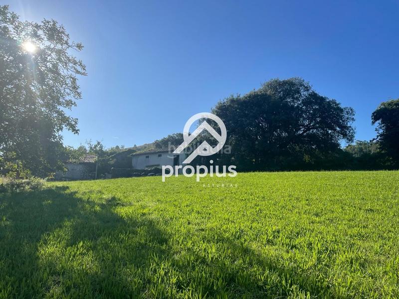 Foto 97e55da1-3708-48bc-8465-71d7f291a59c. Chalet mit heizung parking in Llanes pueblo Llanes