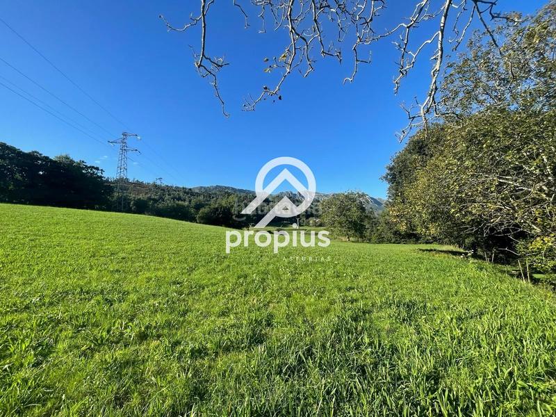 Foto d1a57c09-1d2b-45de-8a3b-e367e81d91aa. Chalet mit heizung parking in Llanes pueblo Llanes