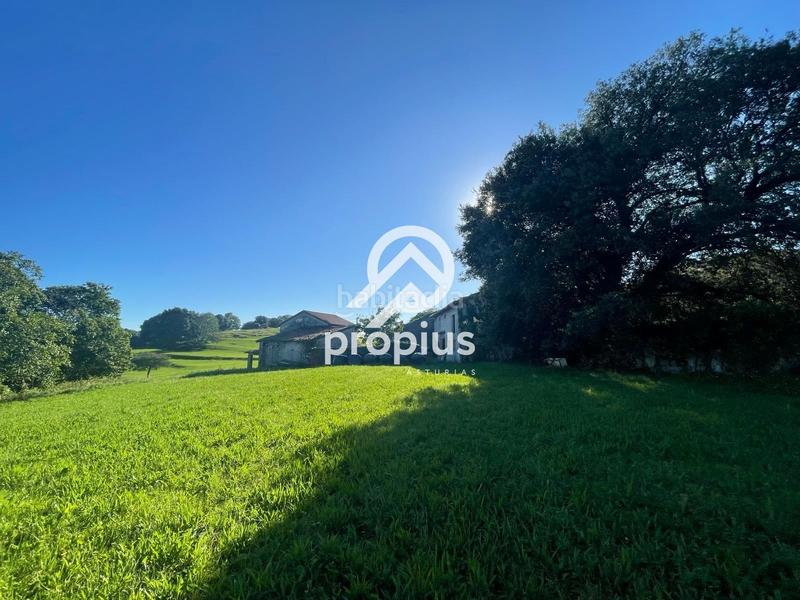 Foto e616e2f6-5eba-4327-9511-83ef7b0c43f7. Chalet mit heizung parking in Llanes pueblo Llanes