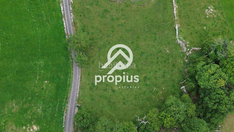 Foto 19a6d97d-dd50-4250-86d4-438bc8384c0f. Finca rústica a Vidiago-Pendueles-Tresgrandras Llanes